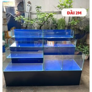 thi công hồ hải sản