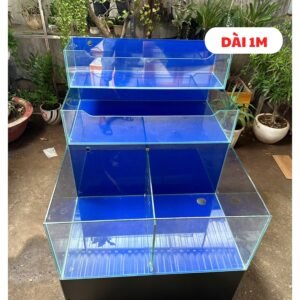 Kính cường lực