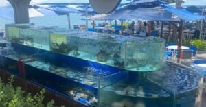 Dịch vụ thi công hồ kính