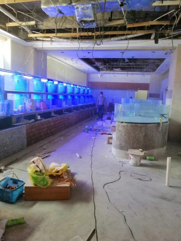 thi công hồ hải sản