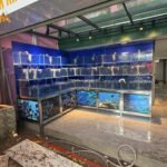 Thi công bể hải sản