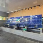 Thi công bể hải sản